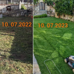 Zoysia Japonica Çim Fidesi 504 Adet Fide (7 viol)