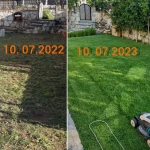Zoysia Japonica Çim Fidesi 504 Adet Fide (7 viol)