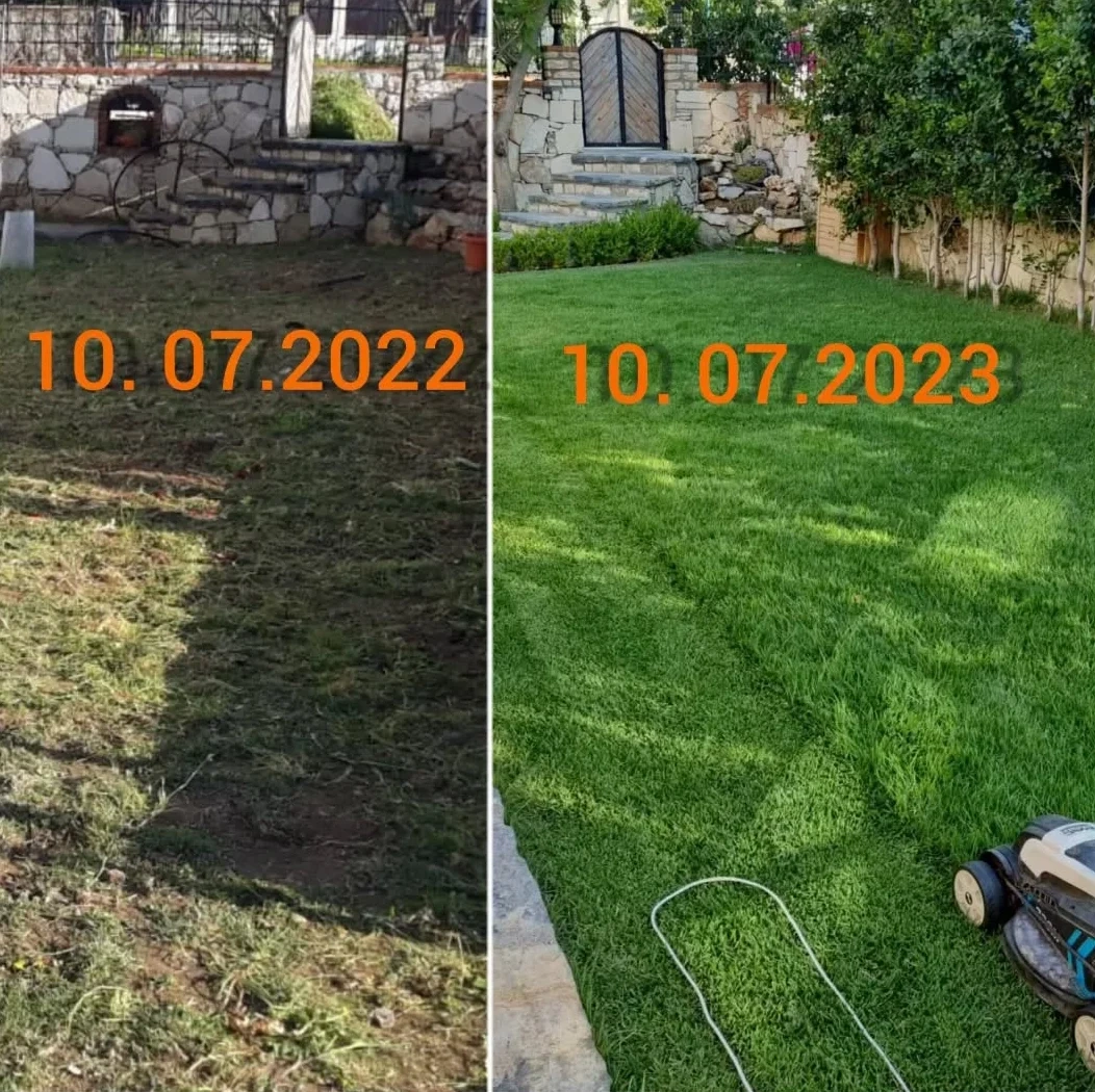 60eb7fd0-3433-4e2f-97a0-efa77ac9fc1a (1) Zoysia Japonica Çim Fidesi 504 Adet Fide (7 viol) - Görsel 1