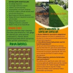 Zoysia Japonica Çim Fidesi 216 Adet 72'lik Viollerde (3 viol) - Görsel 6