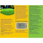 Zoysia Japonica Çim Fidesi 216 Adet 72'lik Viollerde (3 viol) - Görsel 7