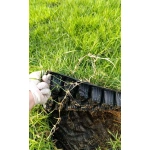 Zoysia Japonica Çim Fidesi 288 Adet 72'lik Viol (4 viol) - Görsel 3