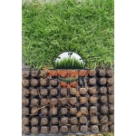 Zoysia Japonica Çim Fidesi 360 Adet Fide (5 viol) - Görsel 4