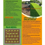 Zoysia Japonica Çim Fidesi 504 Adet Fide (7 viol) - Görsel 7