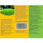 Zoysia Japonica Çim Fidesi 504 Adet Fide (7 viol) - Görsel 8