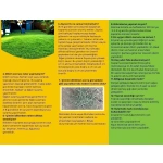 Zoysia Japonica Çim Fidesi 144 Adet Fide 72'lik Viollerde (2 viol) - Görsel 7